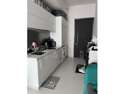 For Sale - Neem Tree