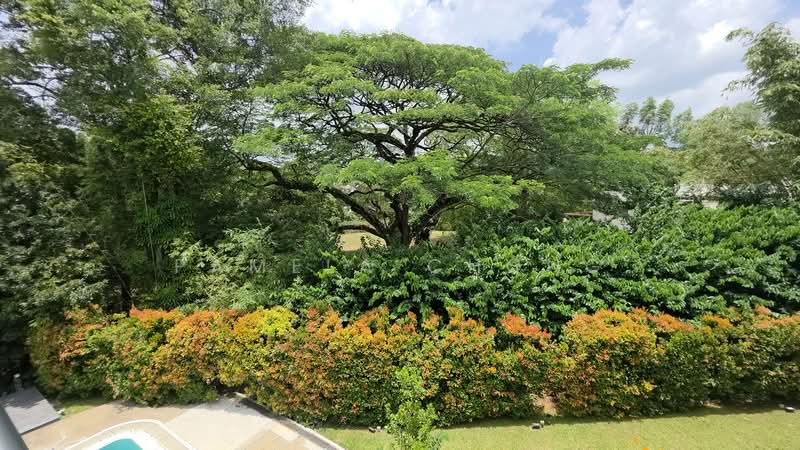 ATTRACTIVE $18XX PSF ⭐️CHARMING SWISS CLUB GCB ⭐️GREENERY ⭐ >40M FRONTAGE (顶级优质洋房) ☎️ PAM 9022 8600, Swiss Club/ Jalan Kampong Chantek/ Binjai Park, 5 Bedrooms, 9,500 sqft, Good Class Bungalow For Sale, by Pamela Chong, 60207352 - Garden - PropertyGuru.com.sg