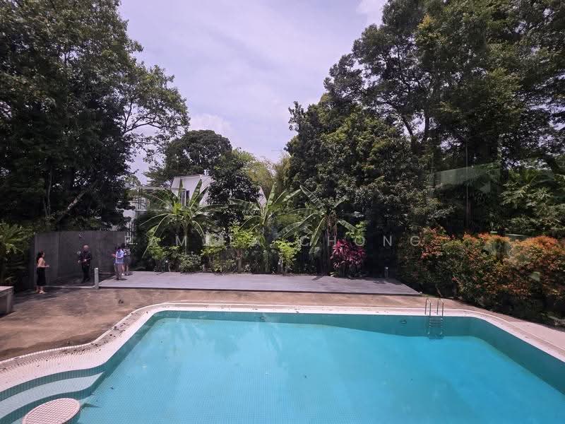ATTRACTIVE $18XX PSF ⭐️CHARMING SWISS CLUB GCB ⭐️GREENERY ⭐ >40M FRONTAGE (顶级优质洋房) ☎️ PAM 9022 8600, Swiss Club/ Jalan Kampong Chantek/ Binjai Park, Newton / Novena, 5 Bedrooms, 9,500 sqft, Good Class Bungalow For Sale, by Pamela Chong, 60207352 - Pool - PropertyGuru.com.sg