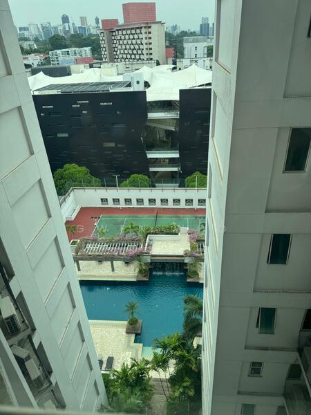 View from common room