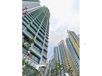 For Rent - 54 Havelock Road