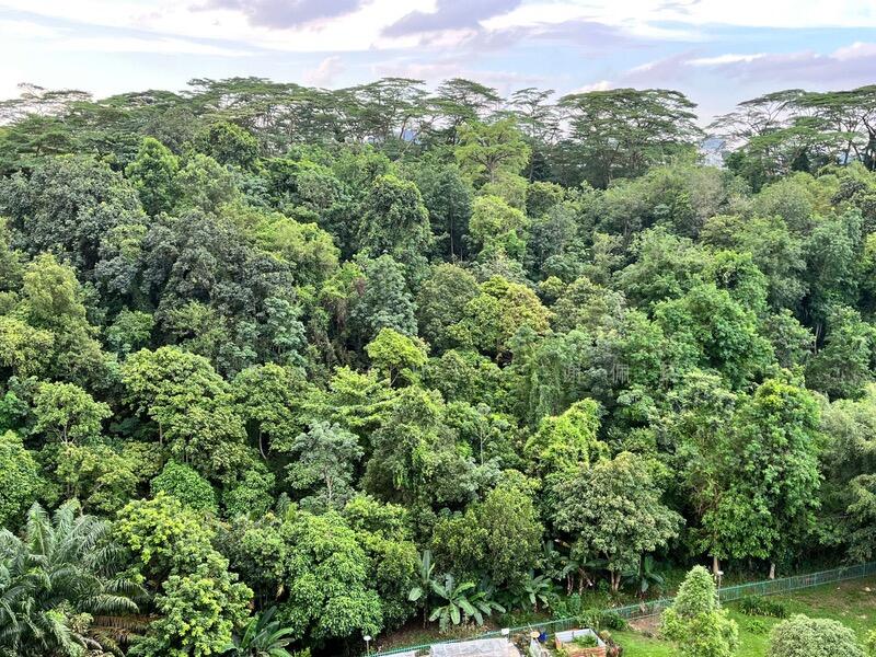 For Rent - 118 Clementi Street 13