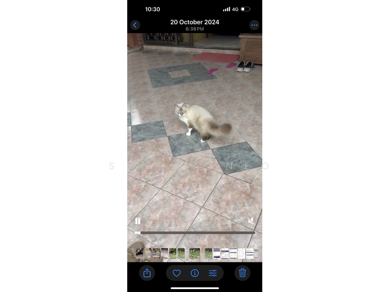 For Sale - Picardy Gardens