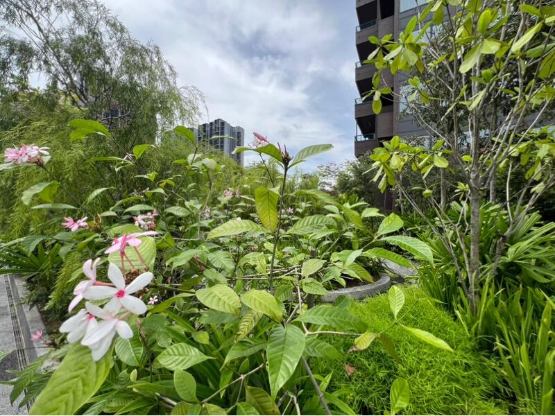 For Sale - Midtown Modern