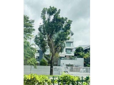 For Sale - Loft @ Stevens