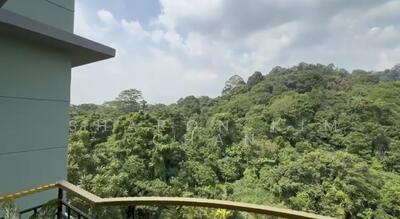 For Rent - Springdale Condo