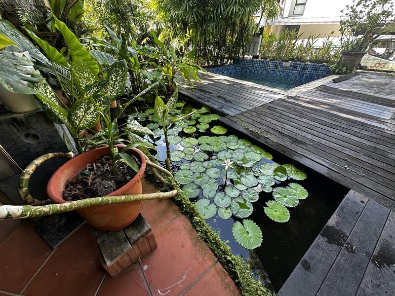 Freehold Semi-D in Bishan Landed Estate | Walk to MRT, Jalan Binchang, Marymount, Bishan, 4 Bedrooms, 4,000 sqft, Semi-Detached House For Sale, by Faye Tan 陈丽儿, 60210836 - PropertyGuru.com.sg