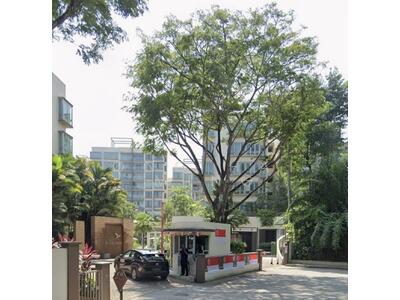 For Rent - The Raintree