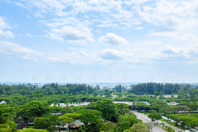 For Sale - One Meyer