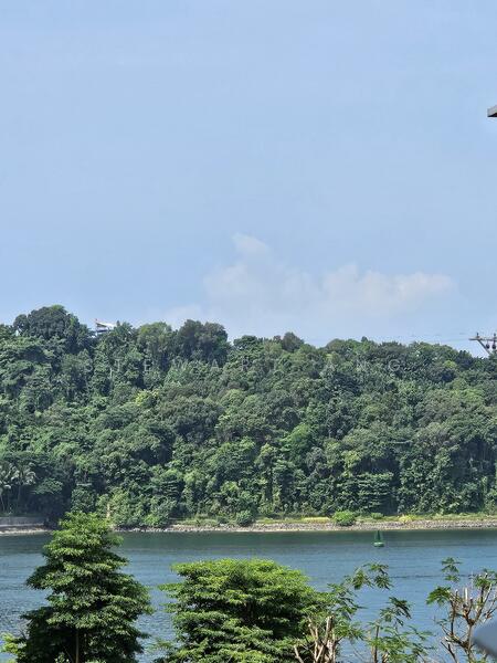 For Rent - Caribbean at Keppel Bay