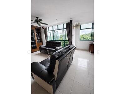 For Sale - 478 Segar Road