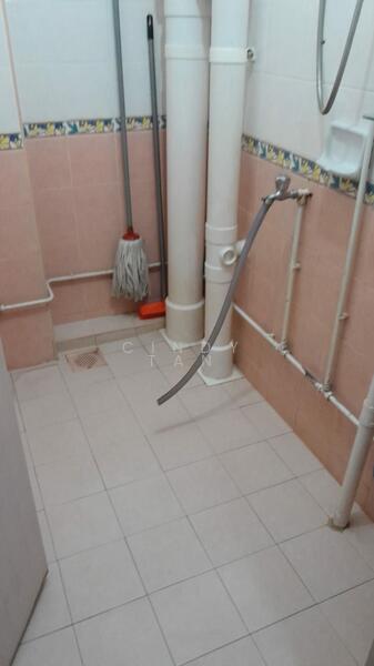 161 Mei Ling Street, 161 Mei Ling Street, Room Rental, 100 sqft, HDB Flat For Rent, by Cindy Tan, 60217372 - Bathroom - PropertyGuru.com.sg