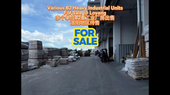 Various B2 Heavy Industrial Units for Sale @ Loyang, , 3,940 sqft, Factory / Workshop (B2) For Sale, by Fuan Freddie, 60217631 - CommercialGuru.com.sg