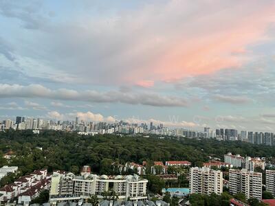 For Rent - d'Leedon (Former Farrer Court)