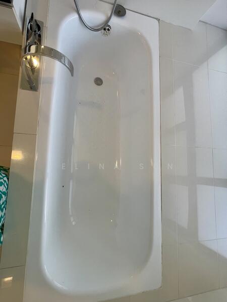 Master bathtub 