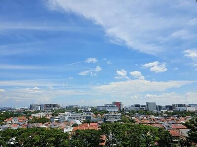 For Sale - Hundred Trees