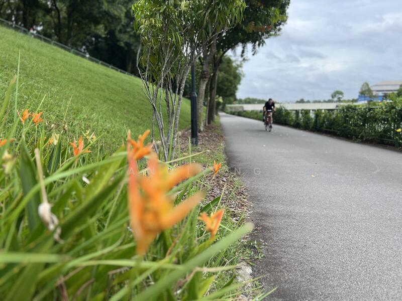 Park Connector & Rail Corridor 