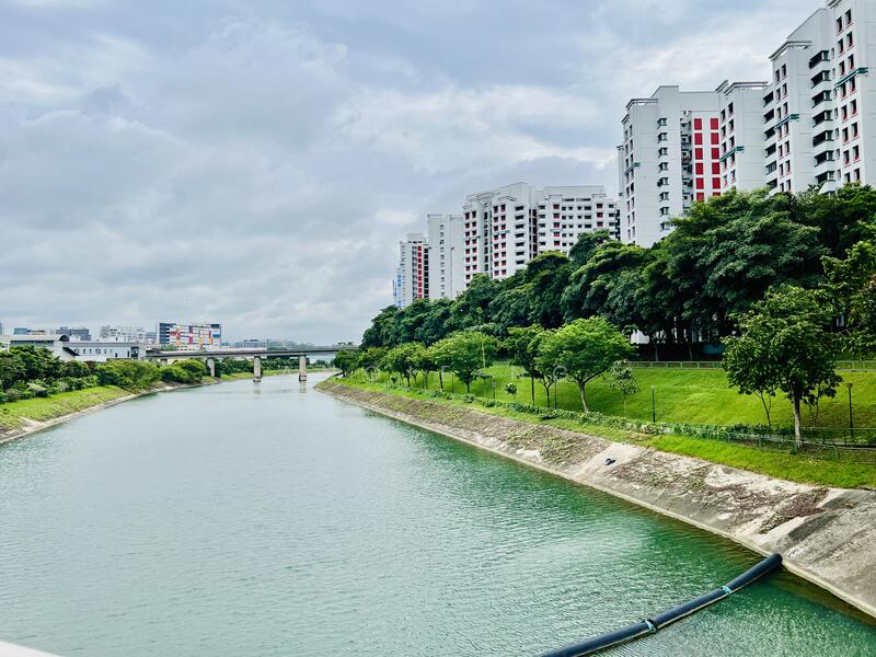 For Sale - Yew Mei Green