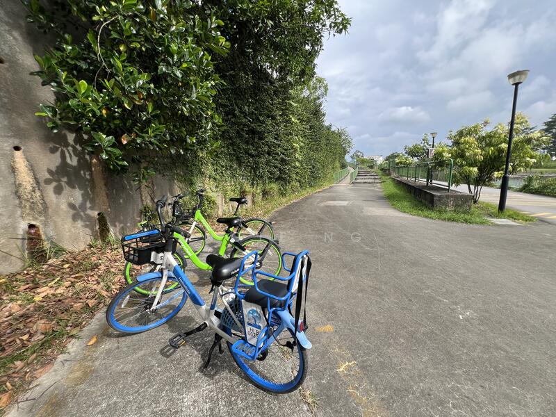 For Sale - Yew Mei Green