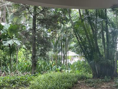 For Rent - Regency Park