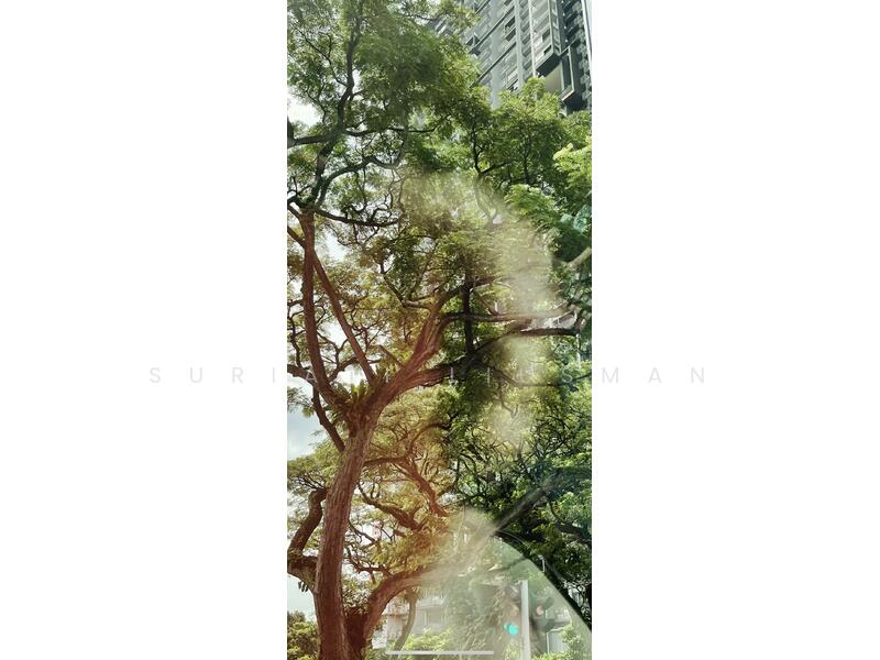 For Rent - 19 Jalan Tenteram