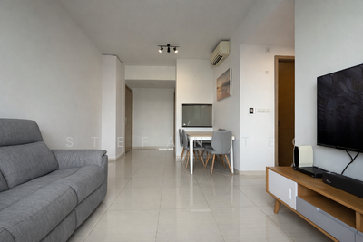 For Sale - The Palette