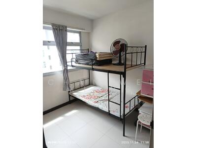 For Rent - 459 Yishun Avenue 11