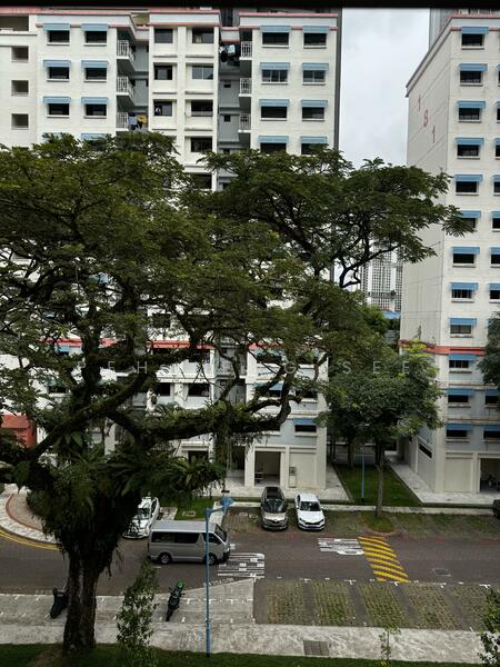 For Sale - 147 Mei Ling Street