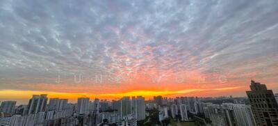 For Sale - Tribeca by the Waterfront