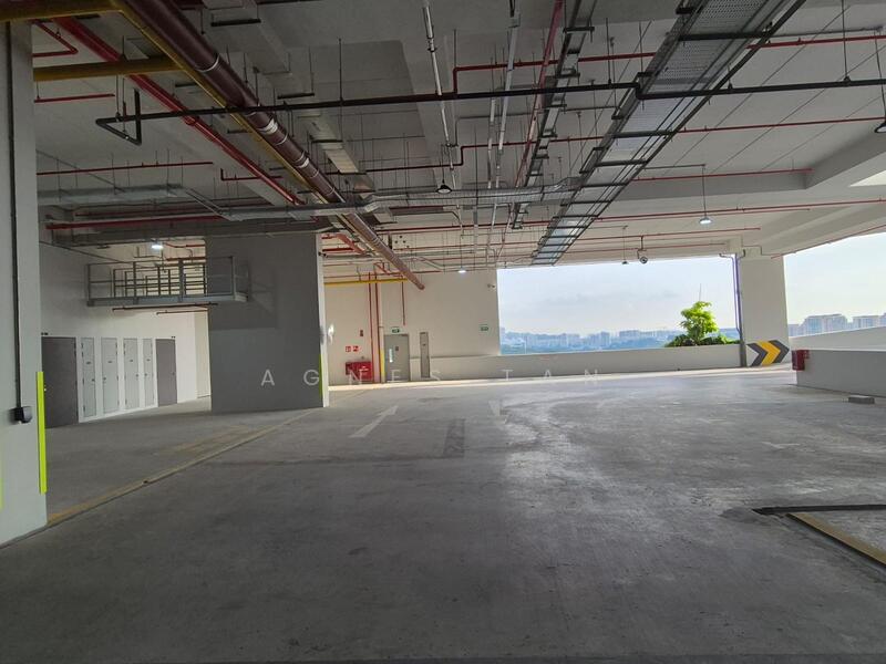 CT FOODNEX