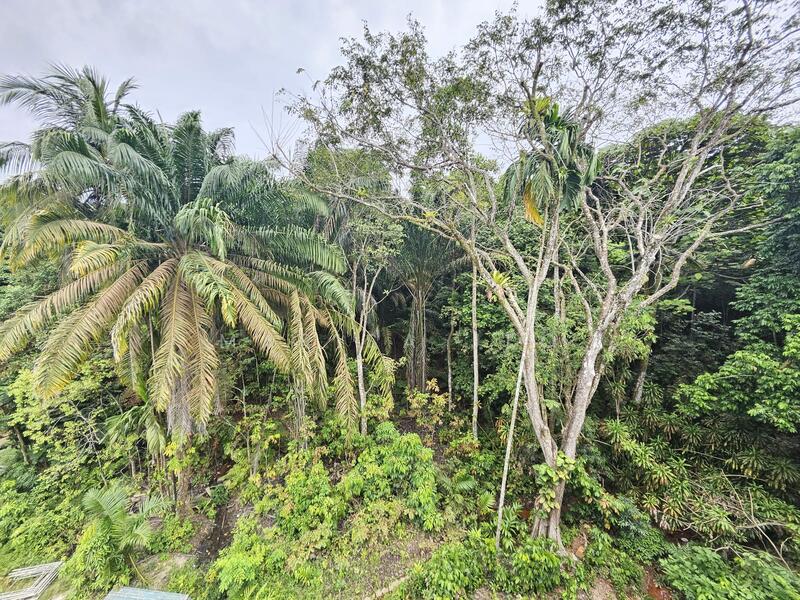 D21 Beautuful New Semi-detached, Live in Nature. Semi-Detached House For Sale at S$ 9,500,000 | PropertyGuru Singapore