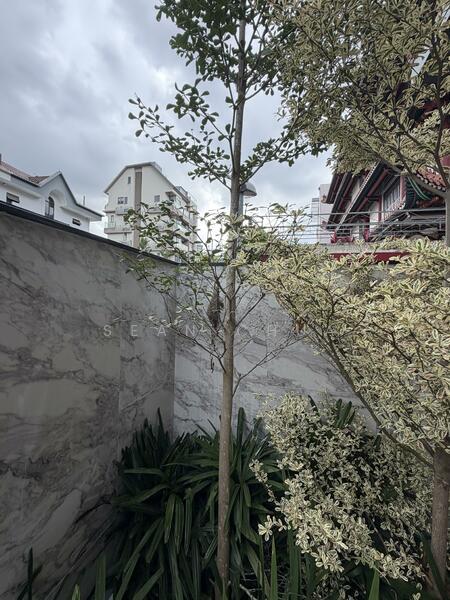 105 Shrewsbury Road Terraced House For Sale at S$ 7,880,000 | PropertyGuru Singapore - Garden