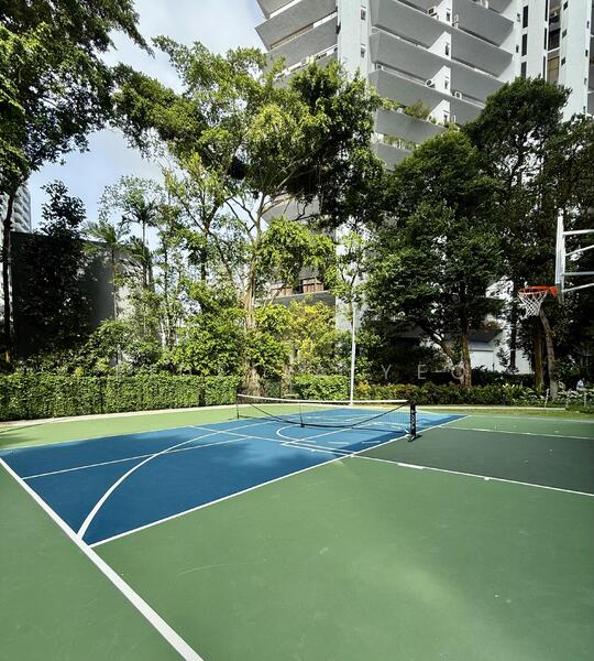 Multi purpose court