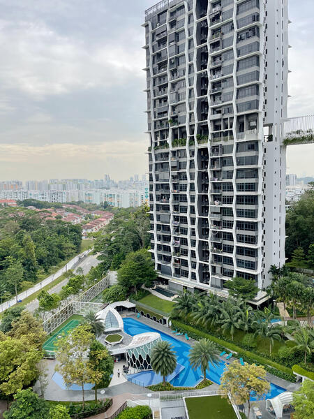 For Sale - Tree House