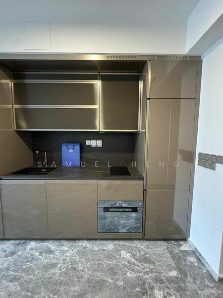 One Bernam, 1 Bernam Street, 1 Bedroom, 441 sqft, Condominium For Rent, by Samuel Heng, 60225686 - Kitchen - PropertyGuru.com.sg