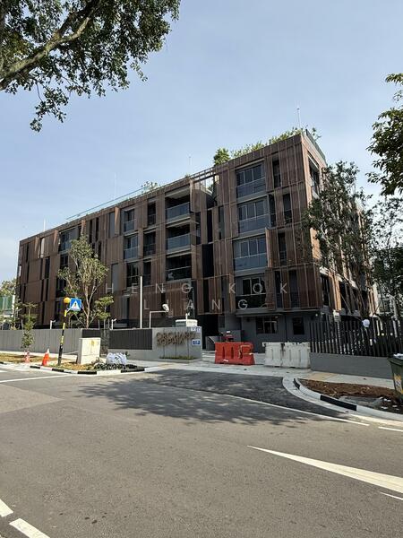 For Sale - Orchard Sophia