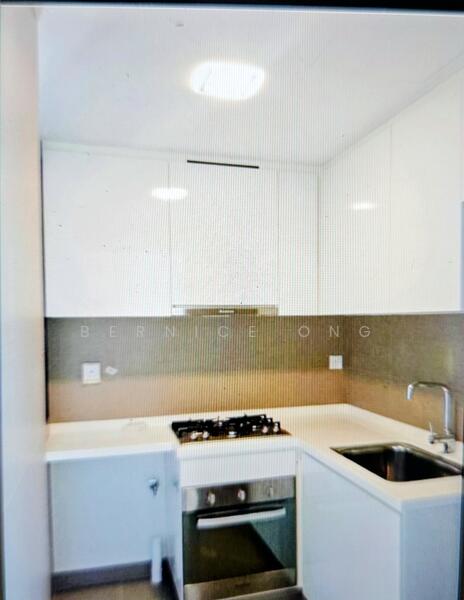 Domus, 8 Irrawaddy Road, 2 Bedrooms, 1,001 sqft, Condominium For Rent, by Bernice Ong, 60227078 - Kitchen - PropertyGuru.com.sg