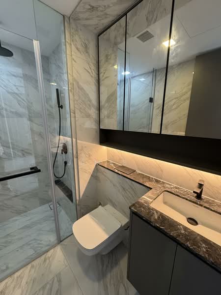 The Landmark, 173 Chin Swee Road, 2 Bedrooms, 678 sqft, Condominium For Rent, by James ., 60227790 - Bathroom - PropertyGuru.com.sg