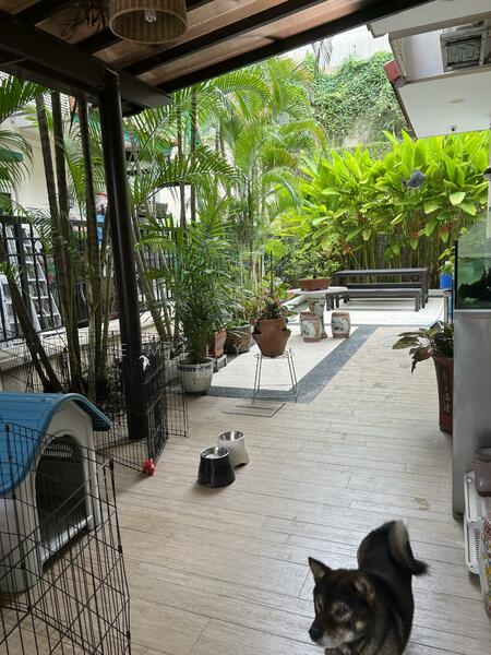 8 Almond Street, 8 Almount Street, 5 Bedrooms, 4,617 sqft, Detached House For Sale, by Emily Yeo 杨莉冰, 60229294 - PropertyGuru.com.sg