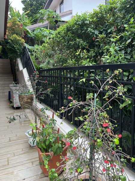 8 Almond Street, 8 Almount Street, 5 Bedrooms, 4,617 sqft, Detached House For Sale, by Emily Yeo 杨莉冰, 60229294 - PropertyGuru.com.sg