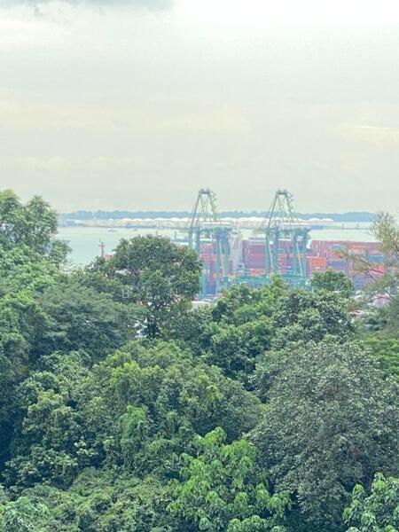 Normanton Park Condominium For Sale at S$ 1,650,000 | PropertyGuru Singapore