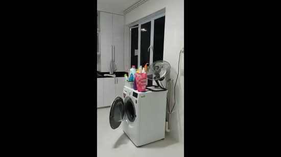 565 Pasir Ris Street 51, 565 Pasir Ris Street 51, Room Rental, 86 sqft, HDB Flat For Rent, by Stanley Wong, 60233084 - PropertyGuru.com.sg