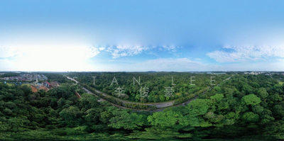 For Sale - Springleaf Residence