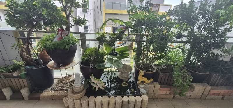 Parc Rosewood, 93 Rosewood Drive, 3 Bedrooms, 1,850 sqft, Condominium For Rent, by Shirley Ang, 60235193 - PropertyGuru.com.sg