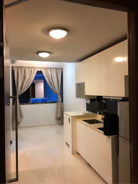 Vibes @ East Coast, 308 Telok Kurau Road, 1 Bedroom, 377 sqft, Apartment For Rent, by Goh Ze Min, 60236241 - PropertyGuru.com.sg