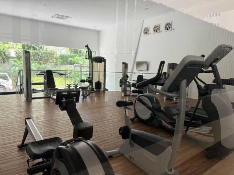 Elizabeth Heights, 57 Cairnhill Road, 3 Bedrooms, 2,519 sqft, Condominium For Rent, by Catherine Lee, 60236244 - PropertyGuru.com.sg