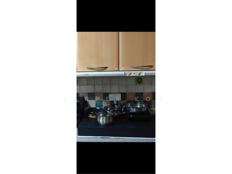 Emerald Garden, 33 Club Street, Room Rental, 250 sqft, Condominium For Rent, by Jasper Koh, 60236437 - PropertyGuru.com.sg