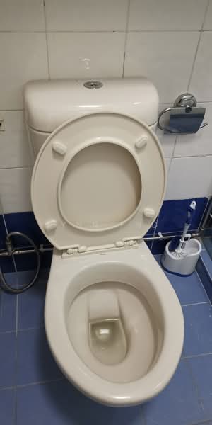 164 Tampines Street 12, 164 Tampines Street 12, Room Rental, 1,076 sqft, HDB Flat For Rent, by Lynn Png, 60236757 - PropertyGuru.com.sg