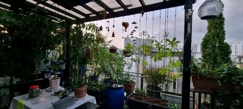 Parc Rosewood, 93 Rosewood Drive, 3 Bedrooms, 1,850 sqft, Condominium For Rent, by Shirley Ang, 60236931 - PropertyGuru.com.sg