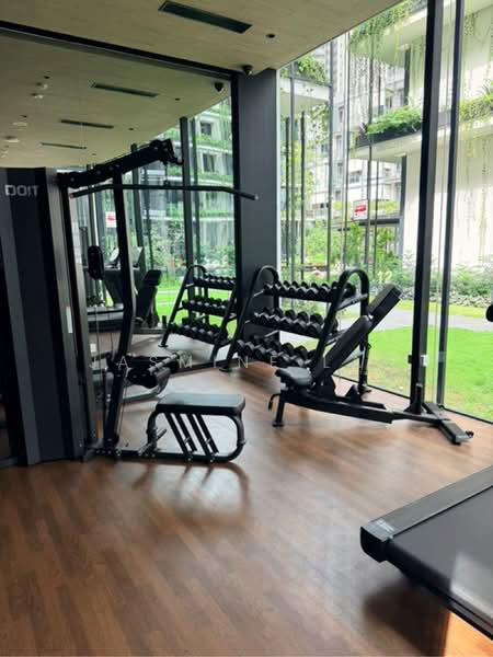 Jervois Mansion, 4 Jervois Close, 1 Bedroom, 495 sqft, Condominium For Rent, by Jasmine Lau, 60237393 - PropertyGuru.com.sg